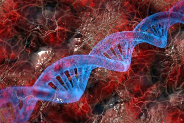universellt botemedel mot cancer